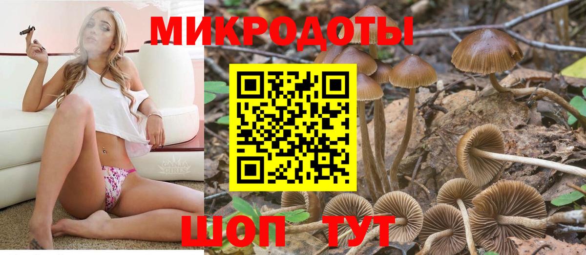 Галлюциногенные грибы мицелий Лянтор
