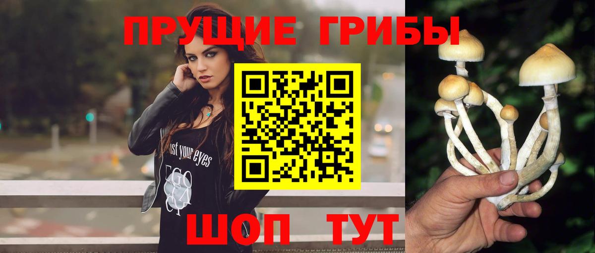 Галлюциногенные грибы Cubensis  Вход с VPN  Лянтор  Псилоцибиновые грибы Psilocybe 